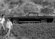 Shelby Cobra GT500 Show Car